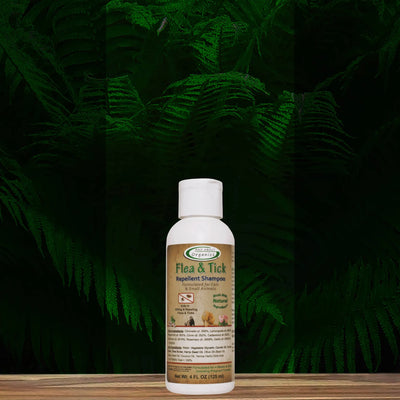 Flea And Tick Shampoo For Cats and Small Animals 4oz