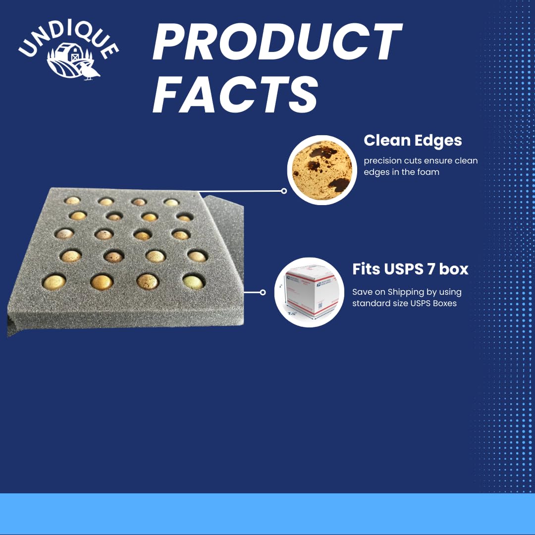 Button Quail Egg Foam Shipper 20 Hole Sets - Safe Egg Transport for Button Quail Eggs 10 Count - Your Pet Connection