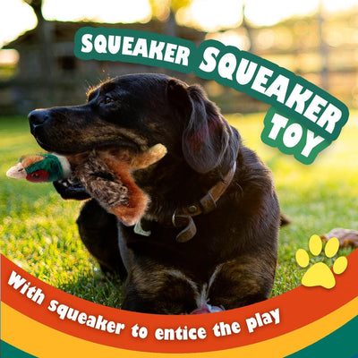 Classic - Dog Toys - Squeaky Dog Pheasant Toys for Dogs
