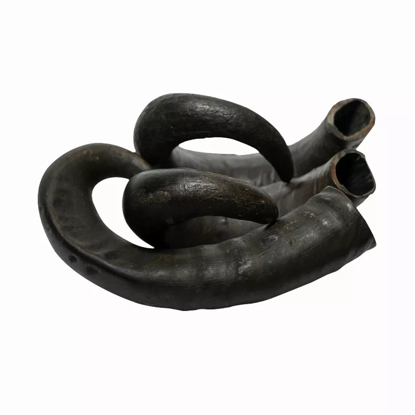 WATER BUFFALO HORN-100% Natural, Long-Lasting, Grain-Free, Gluten-Free, Dog Dental Treats & Chews-2 COUNT-15 oz - Your Pet Connection