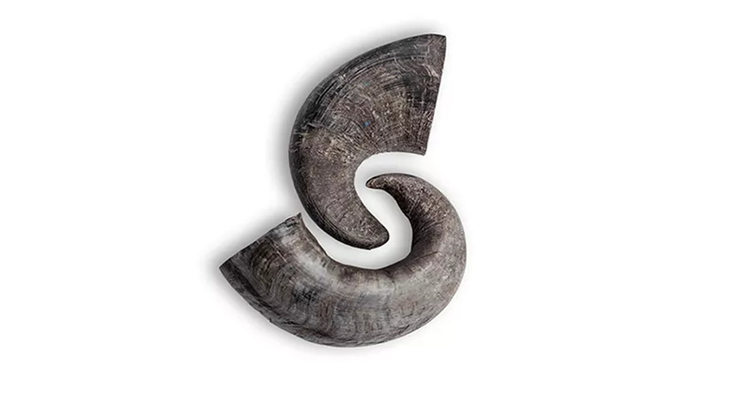 Rozie's Pet Supply Water Buffalo Horn Chew Medium