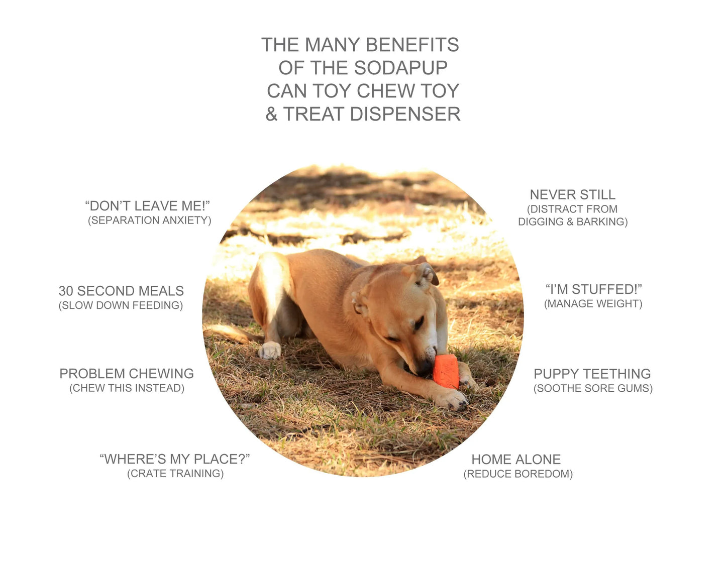 SP Can Toy Durable Rubber Chew Toy & Treat Dispenser - Your Pet Connection