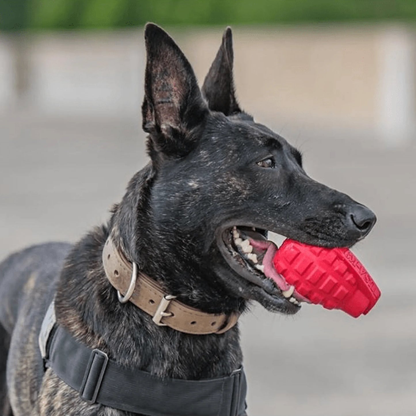 USA-K9 Grenade Durable Rubber Chew Toy & Treat Dispenser - Your Pet Connection