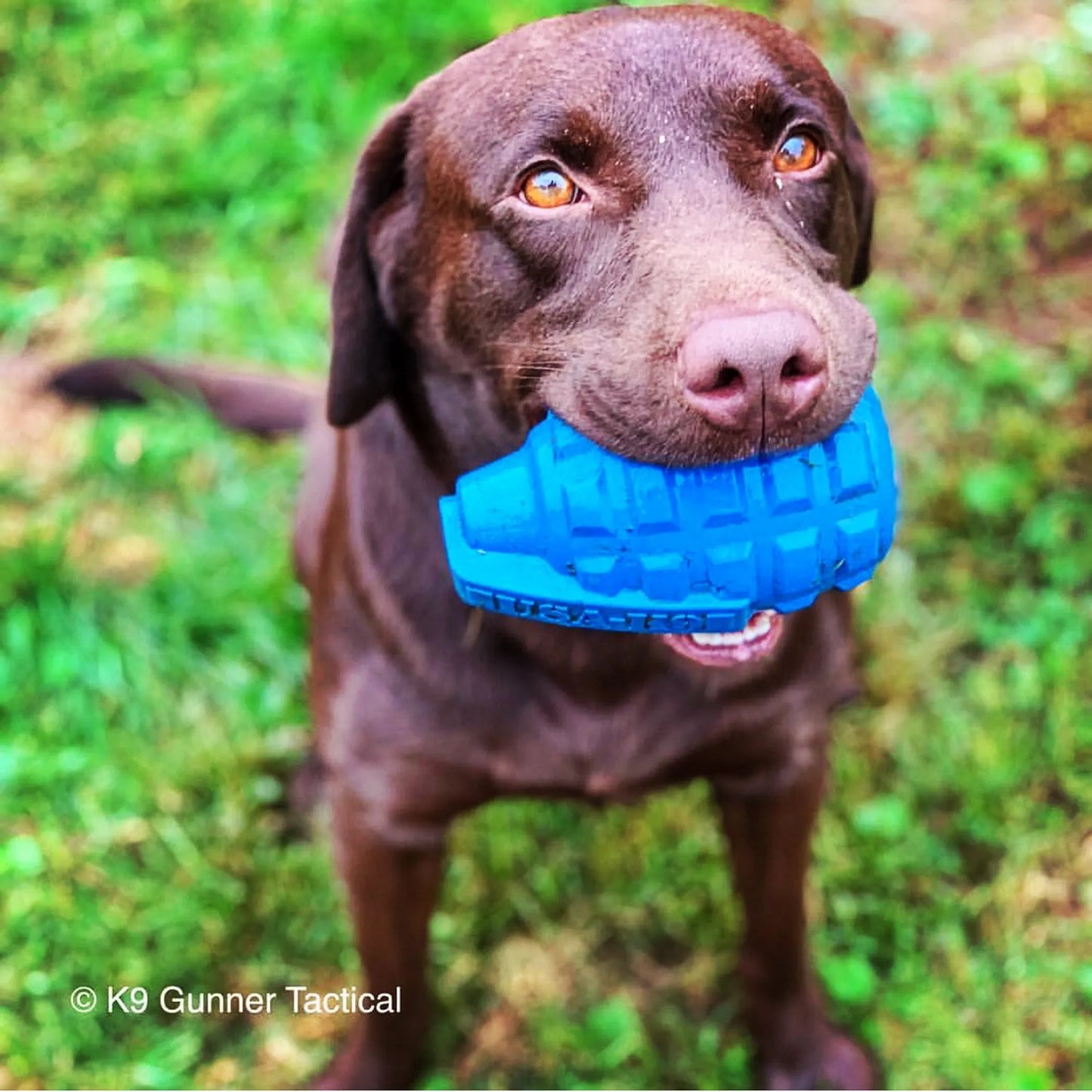 USA-K9 Grenade Durable Rubber Chew Toy & Treat Dispenser - Your Pet Connection