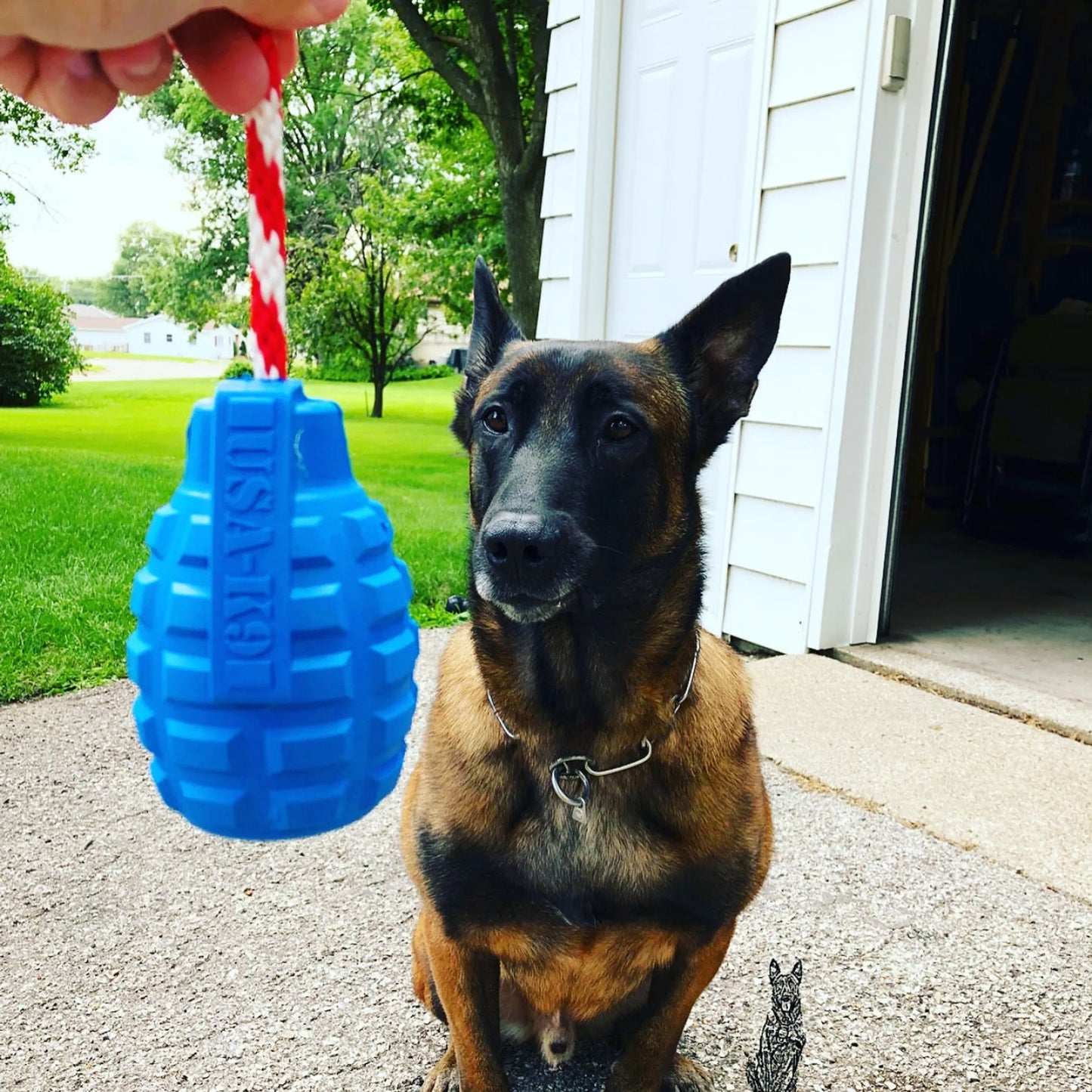USA-K9 Grenade Durable Rubber Chew Toy, Treat Dispenser, Reward Toy, Tug Toy, and Retrieving Toy - Your Pet Connection