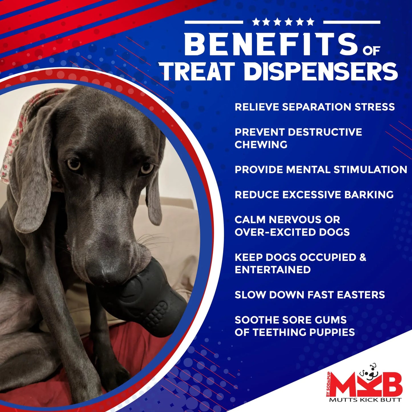 MKB Sugar Skull Durable Rubber Chew Toy & Treat Dispenser - Your Pet Connection