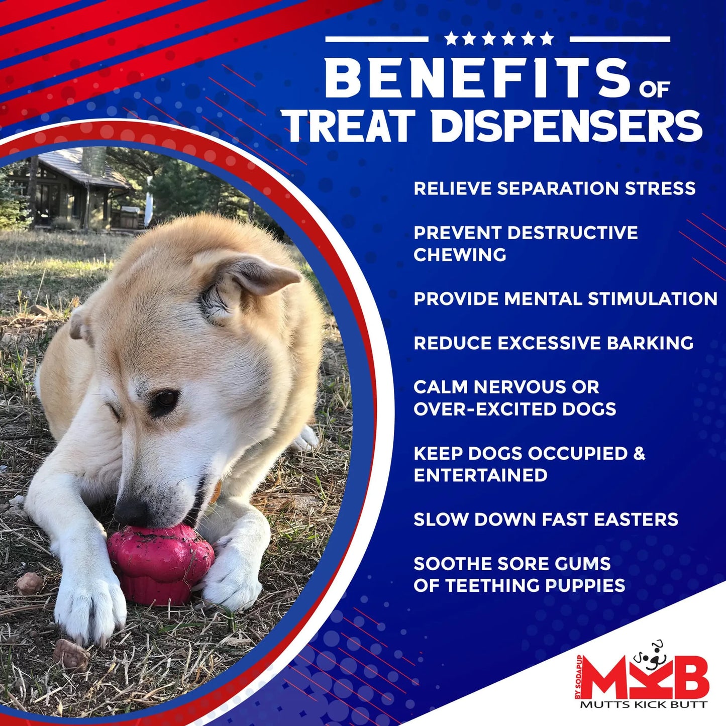 Cupcake Durable Rubber Chew Toy & Treat Dispenser - Your Pet Connection