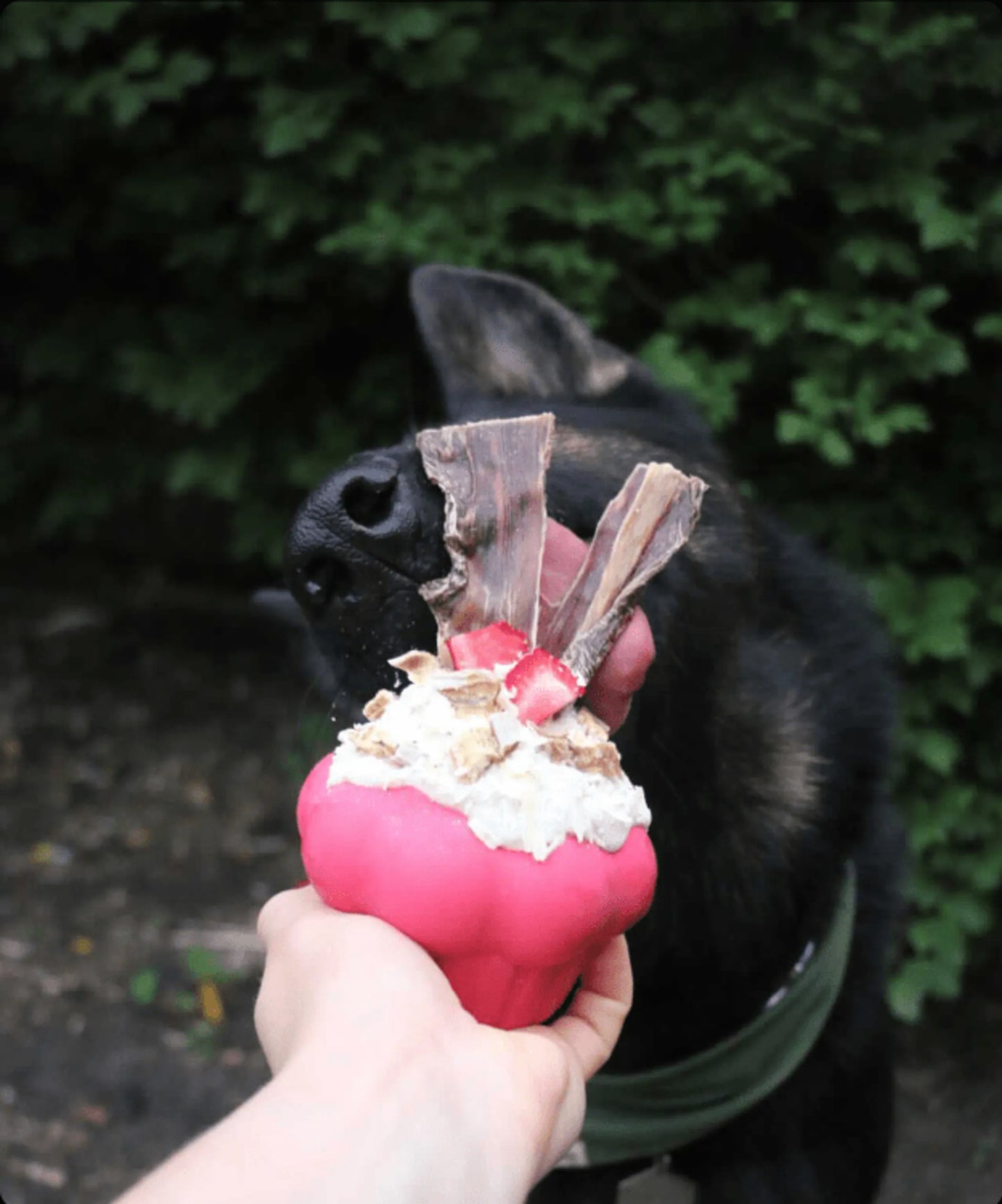 Cupcake Durable Rubber Chew Toy & Treat Dispenser - Your Pet Connection