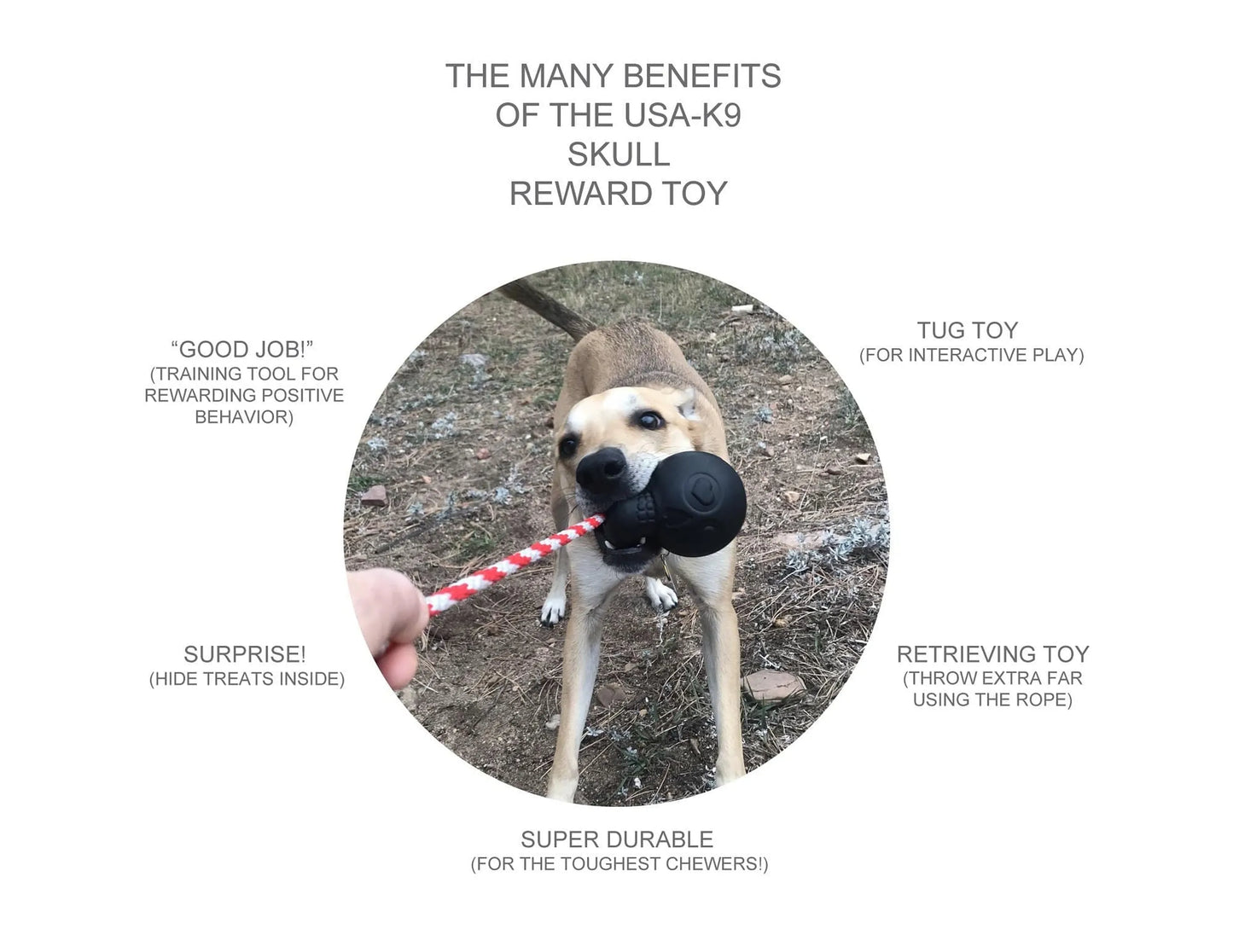 USA-K9 Skull Durable Rubber Chew Toy, Treat Dispenser, Reward Toy, Tug Toy, and Retrieving Toy - Your Pet Connection
