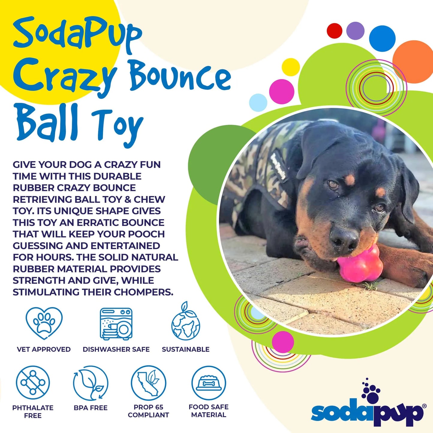 SP Crazy Bounce Ultra Durable Rubber Chew & Retrieving Toy - Your Pet Connection