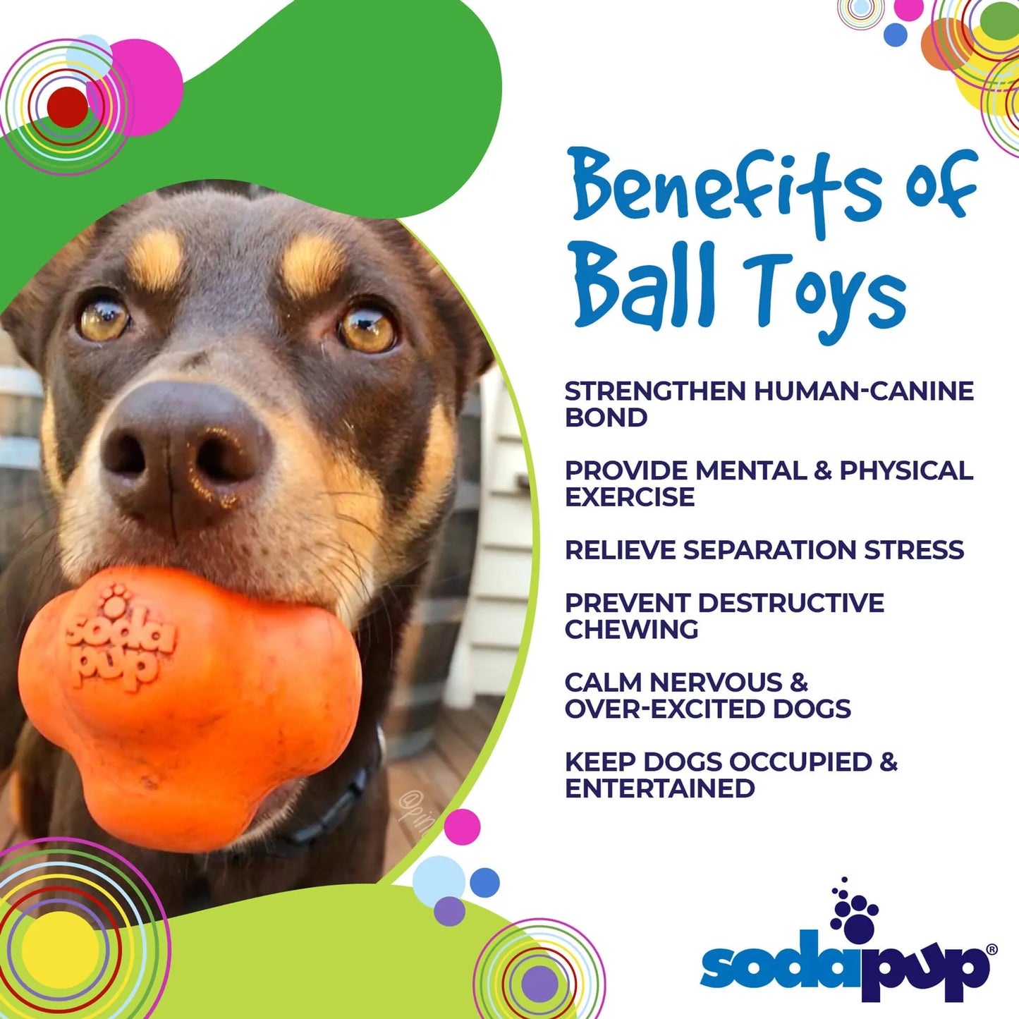 SP Crazy Bounce Ultra Durable Rubber Chew & Retrieving Toy - Your Pet Connection