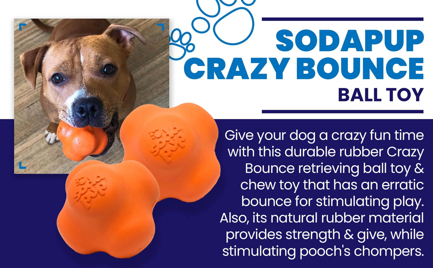 SP Crazy Bounce Ultra Durable Rubber Chew & Retrieving Toy - Your Pet Connection