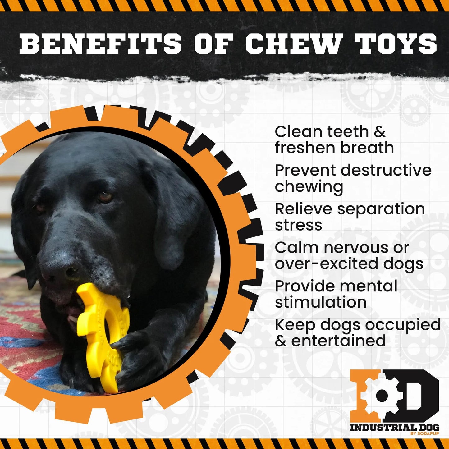 ID Circular Saw Blade Ultra Durable Nylon Dog Chew Toy for Aggressive Chewers - Your Pet Connection