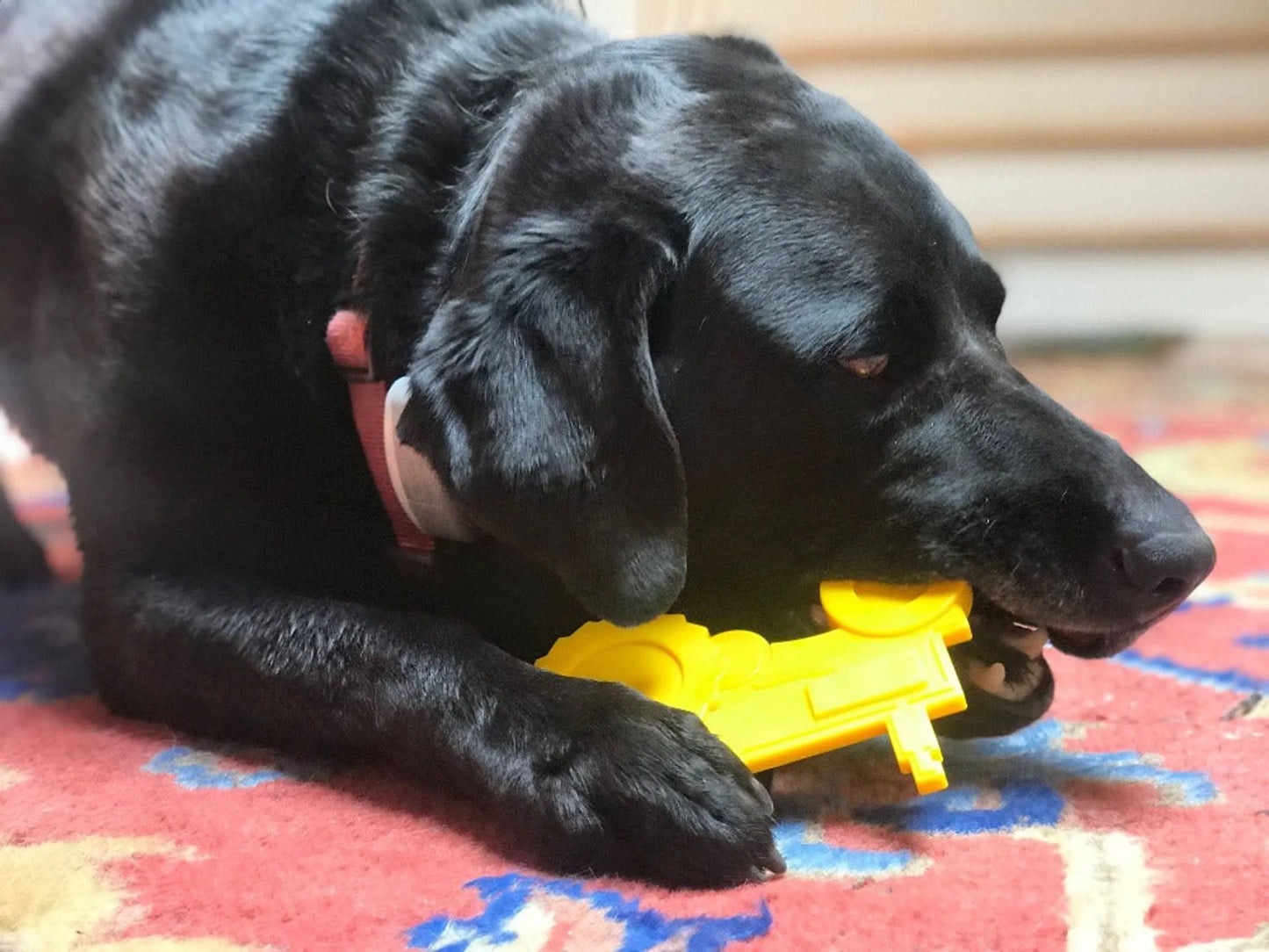 ID Tractor Ultra Durable Nylon Dog Chew Toy for Aggressive Chewers - Your Pet Connection