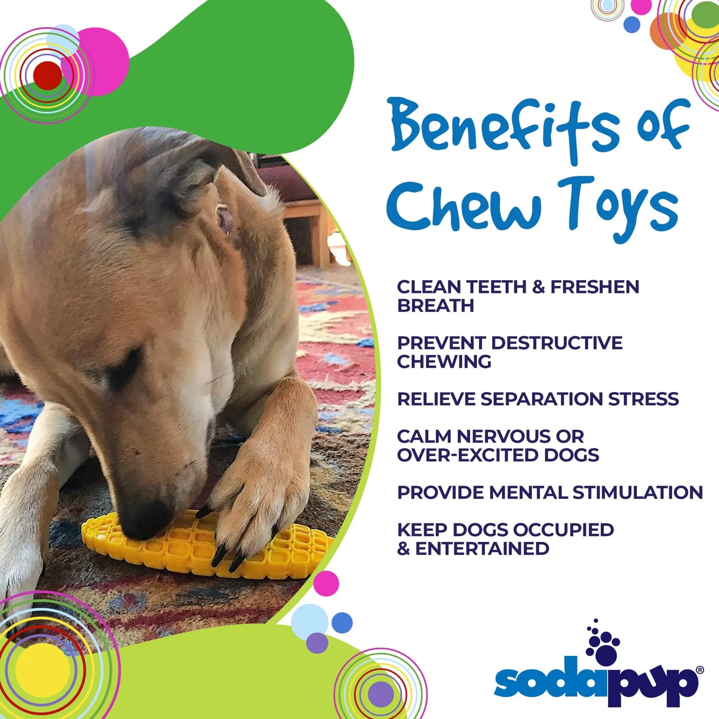 SP Corn on the Cob Ultra Durable Nylon Dog Chew Toy for Aggressive Chewers - Your Pet Connection