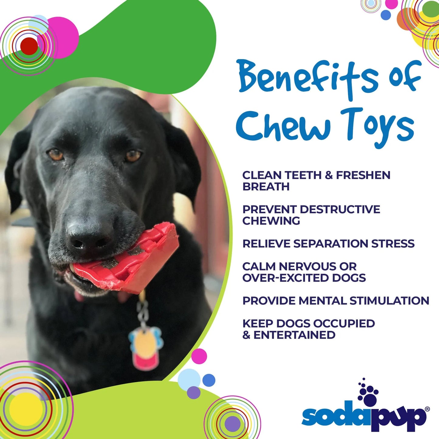 SP Cherry Pie Ultra Durable Nylon Dog Chew Toy and Treat Holder for Aggressive Chewers - Your Pet Connection