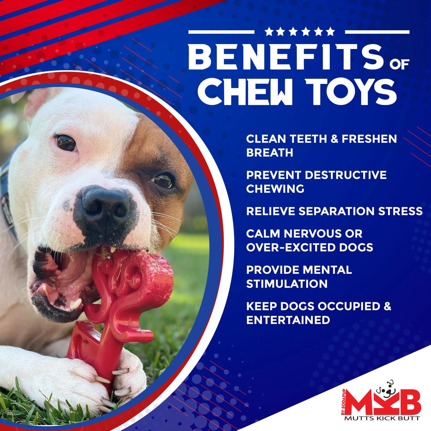 MKB Key to My Heart Ultra Durable Nylon Dog Chew Toy for Aggressive Chewers - Your Pet Connection
