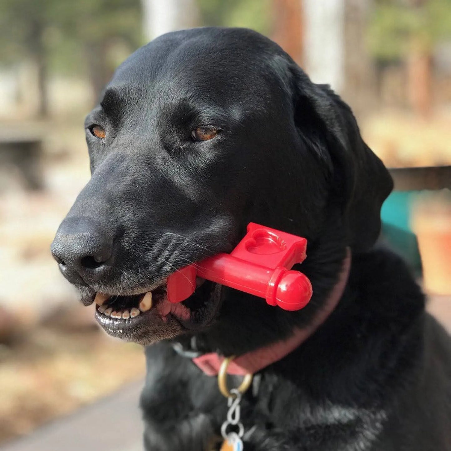 MKB Key to My Heart Ultra Durable Nylon Dog Chew Toy for Aggressive Chewers - Your Pet Connection