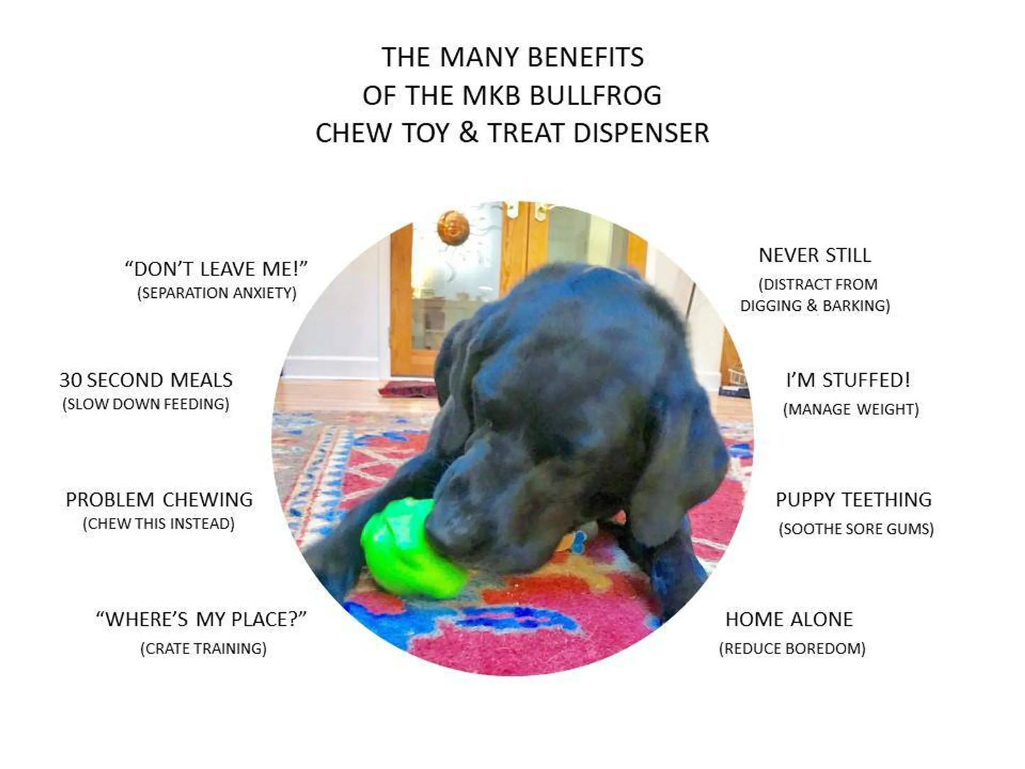 MKB Bull Frog Durable Rubber Chew Toy & Treat Dispenser - Your Pet Connection