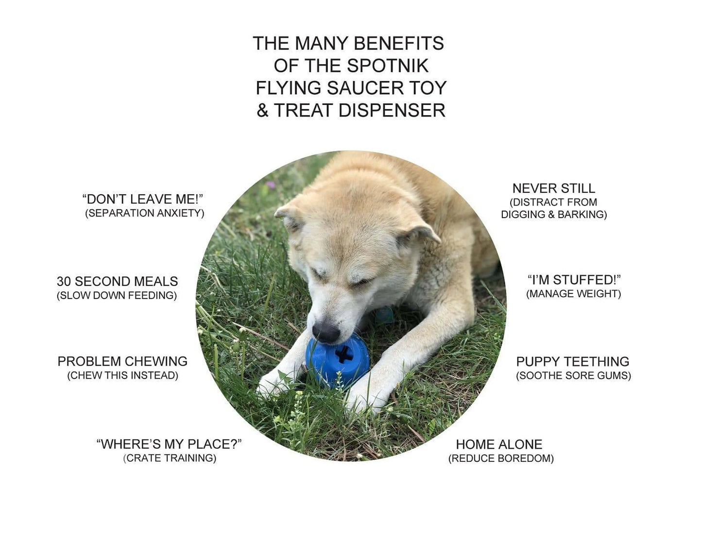 SN Flying Saucer Durable Rubber Chew Toy & Treat Dispenser - Your Pet Connection