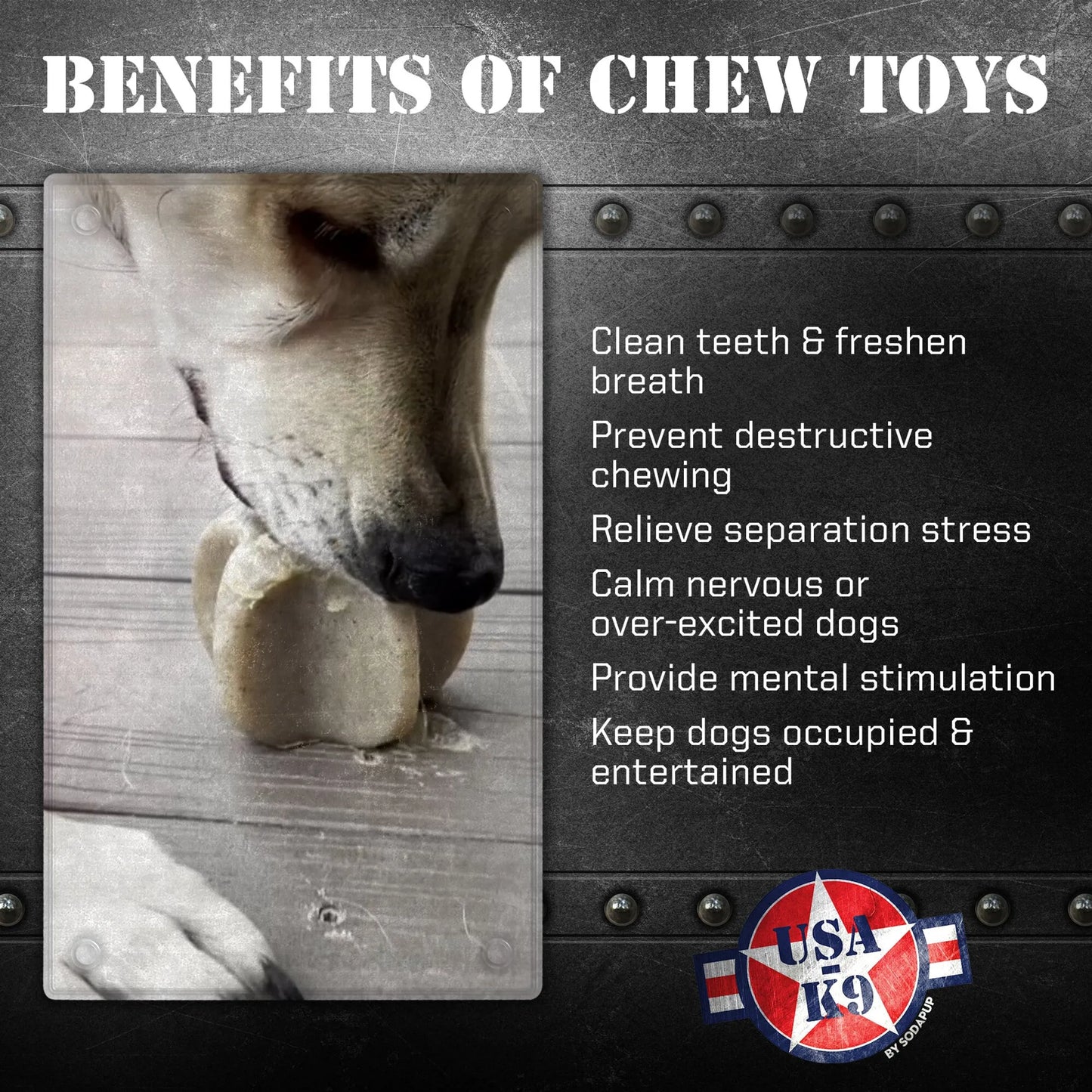 Durable Nylon Star Dog Chew Toy and Enrichment Toy for Aggressive Chewers - Your Pet Connection