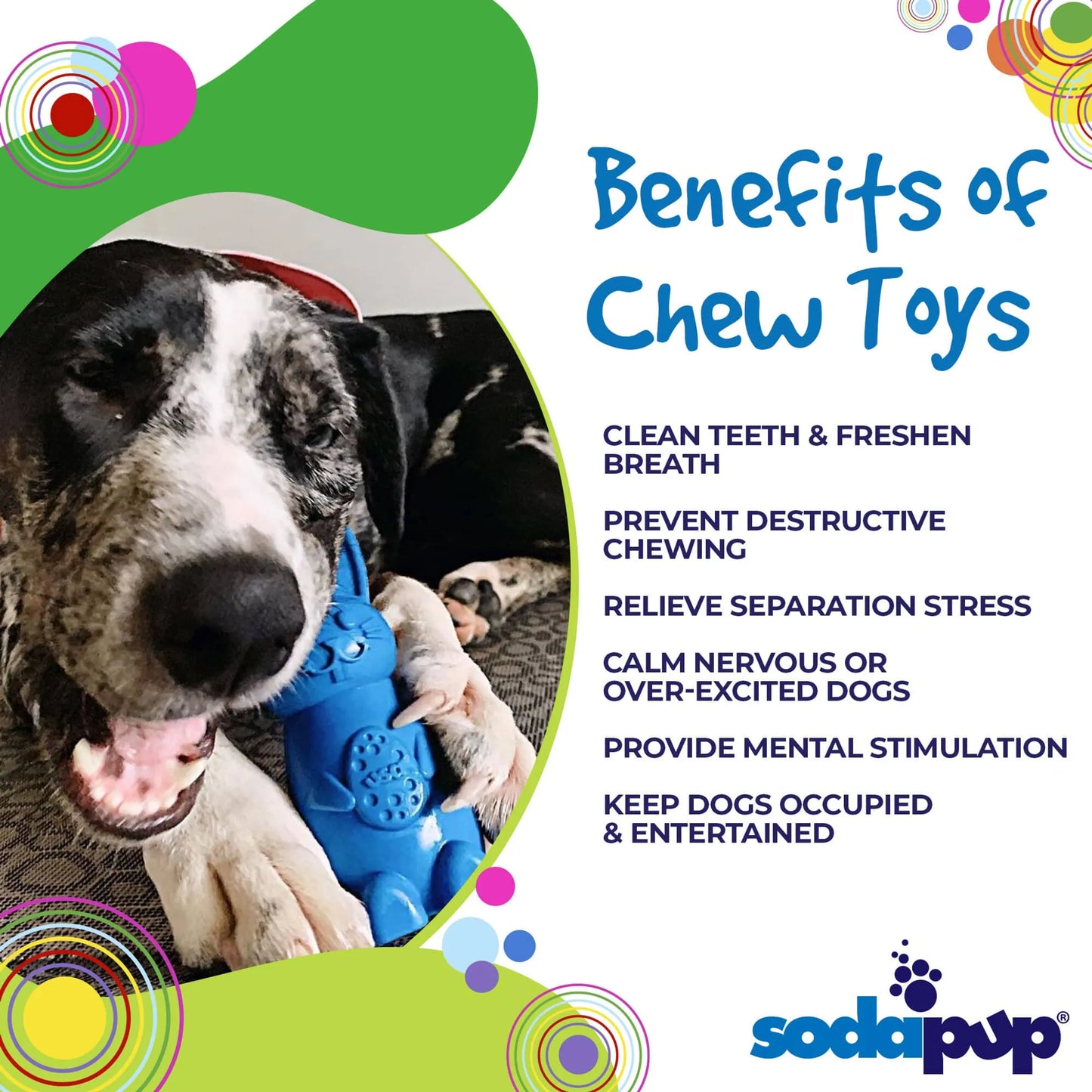Durable Nylon Bunny Chew Toy and Enrichment Toy for Aggressive Chewers - Your Pet Connection