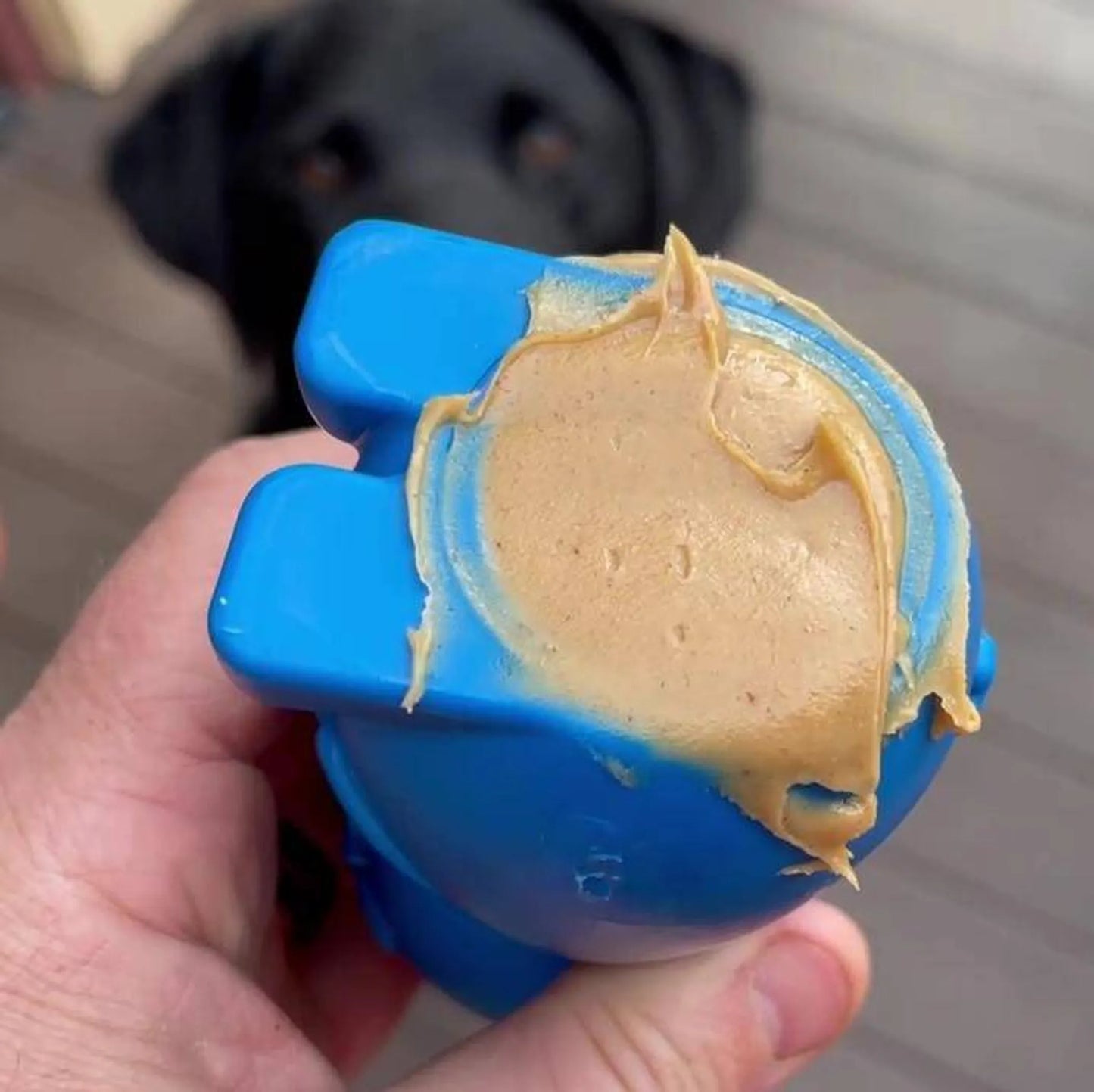 SodaPup Bunny Durable Dog Toy 5.5 Inches