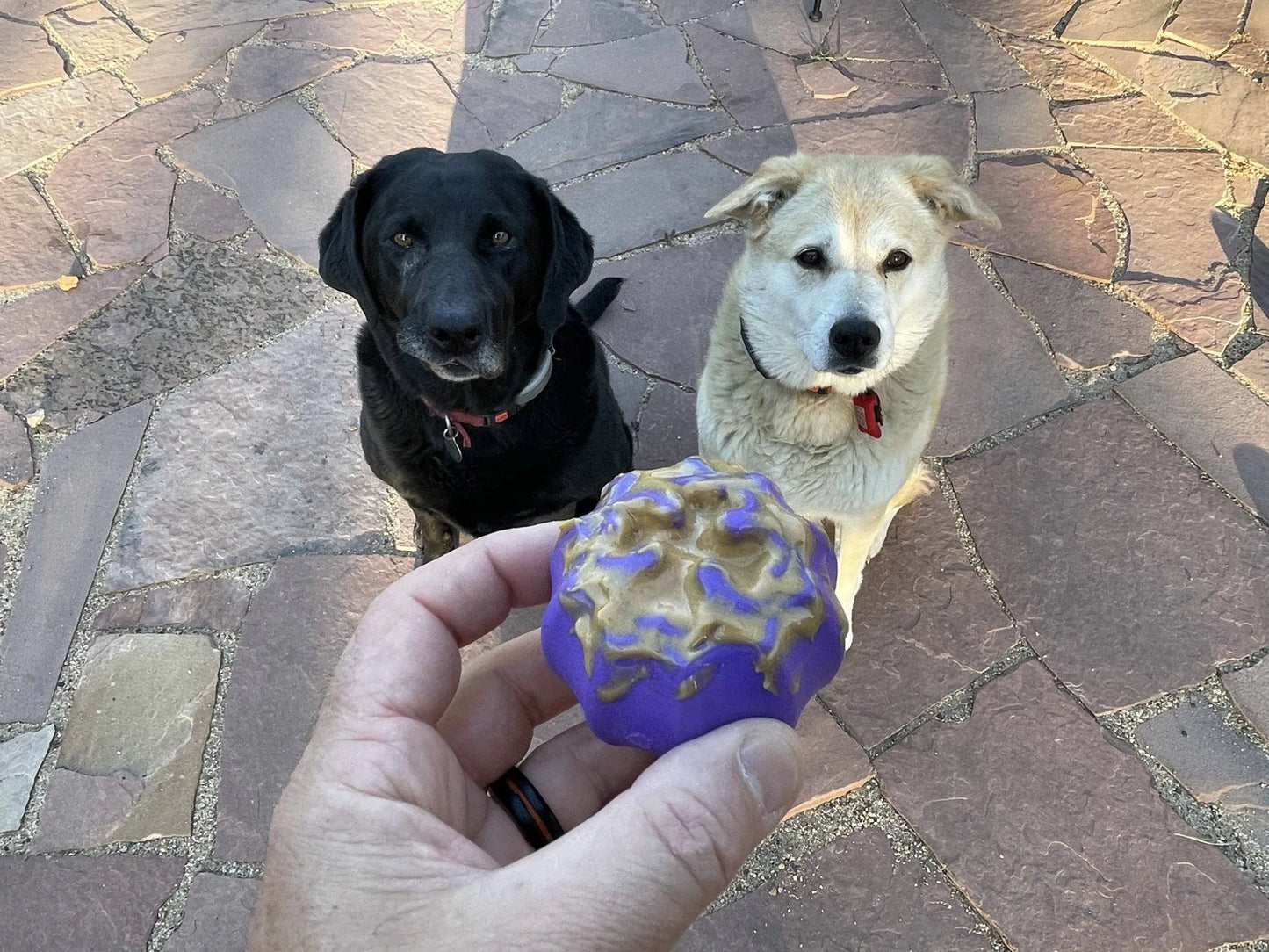 MKB Cross Bones Treat Pocket - Your Pet Connection