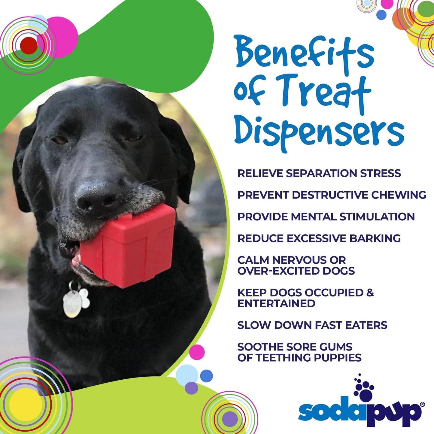 SP Gift Box Durable Rubber Chew Toy & Treat Dispenser - Your Pet Connection