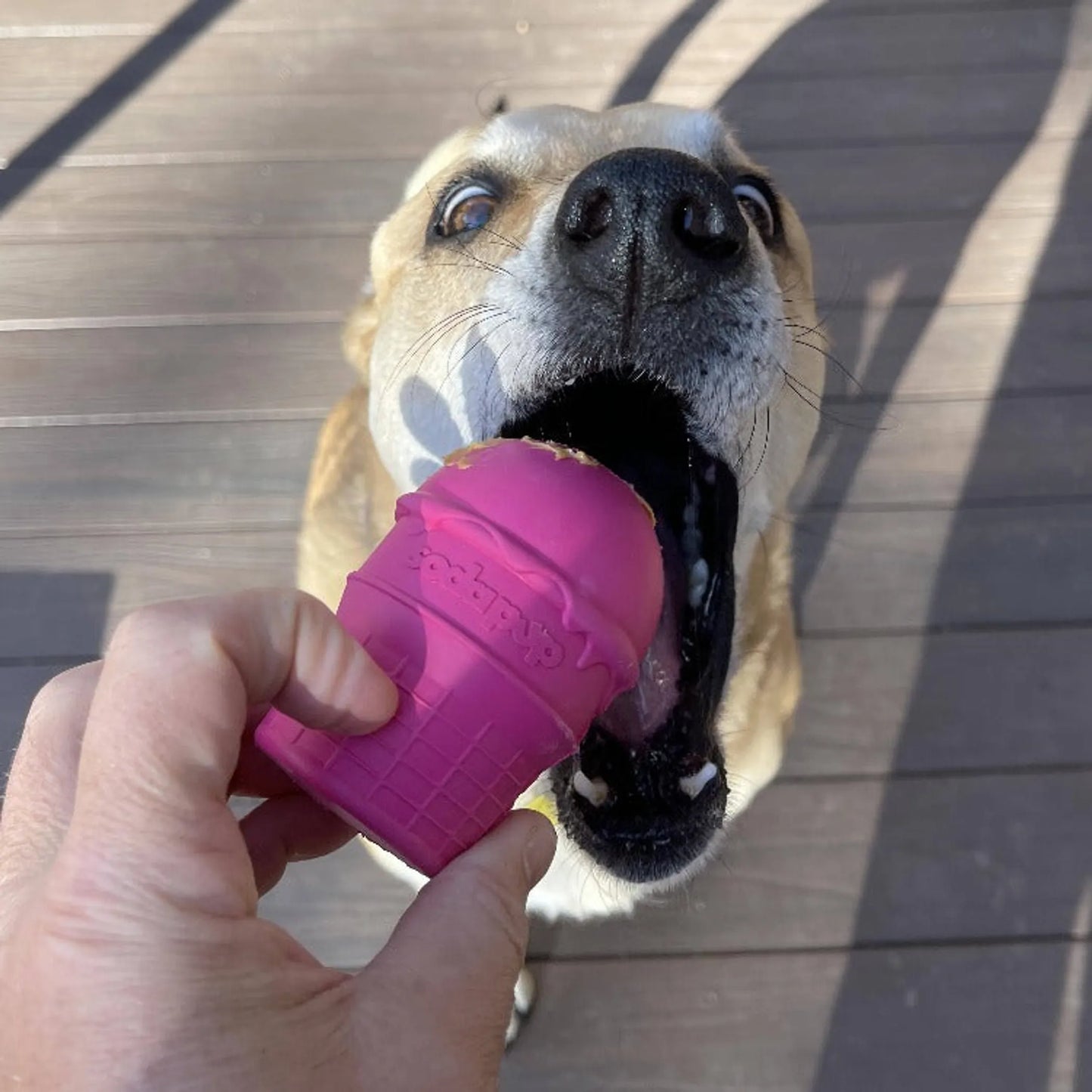 SP Ice Cream Cone Durable Rubber Chew Toy and Treat Dispenser - Your Pet Connection