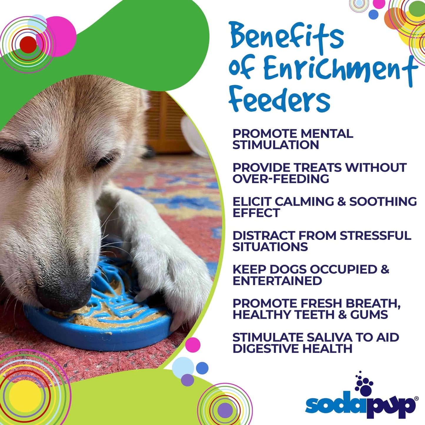 Nylon eCoin Durable Enrichment Snacking Coin - Your Pet Connection