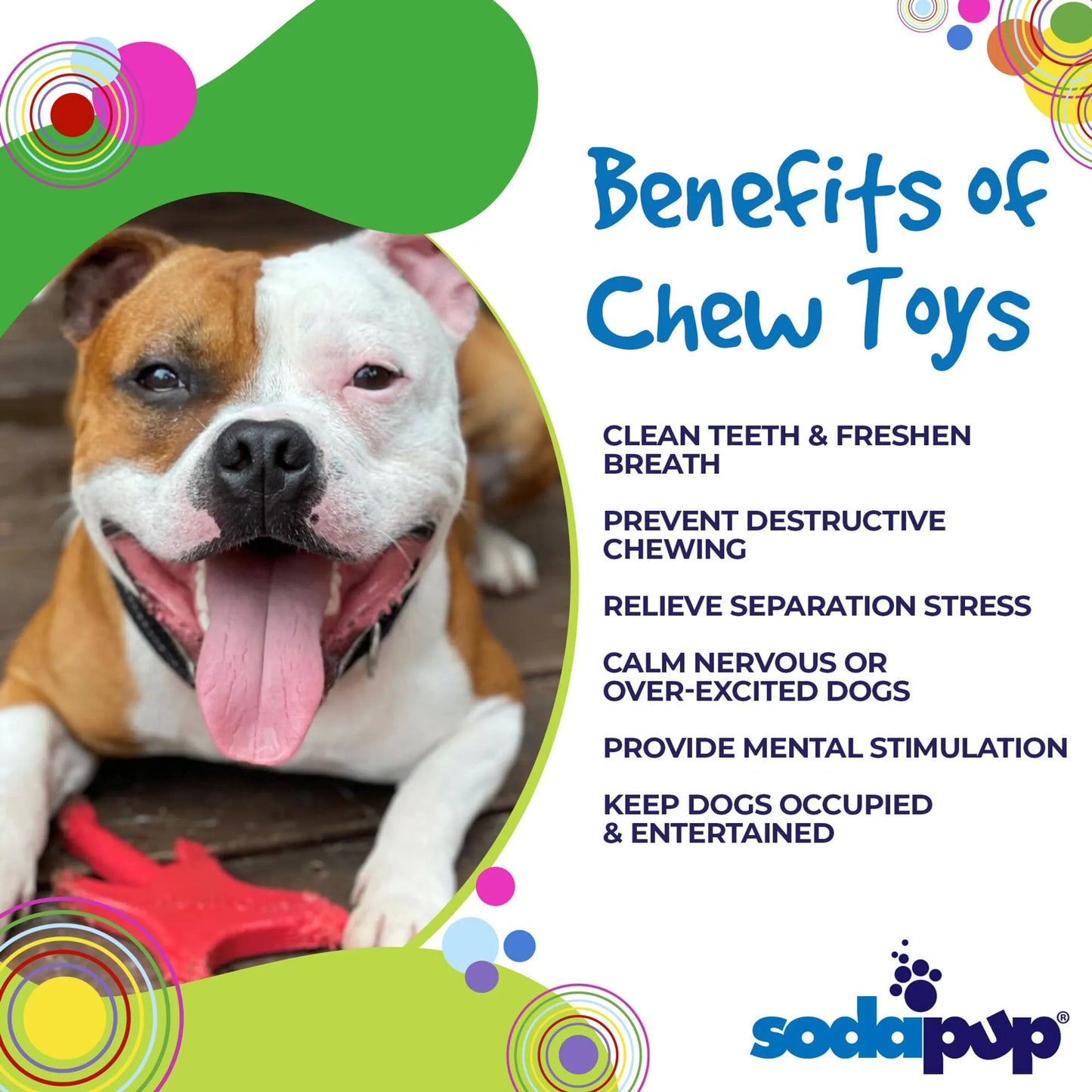 SP Electric Guitar Ultra Durable Nylon Dog Chew Toy for Aggressive Chewers - Your Pet Connection