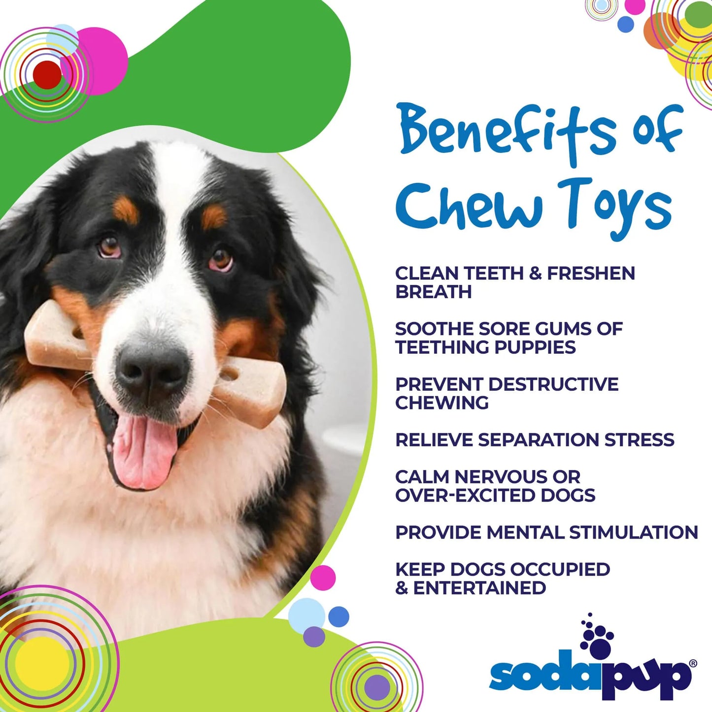 SP MOD Bone Ultra Durable Nylon Dog Chew Toy for Aggressive Chewers - Your Pet Connection