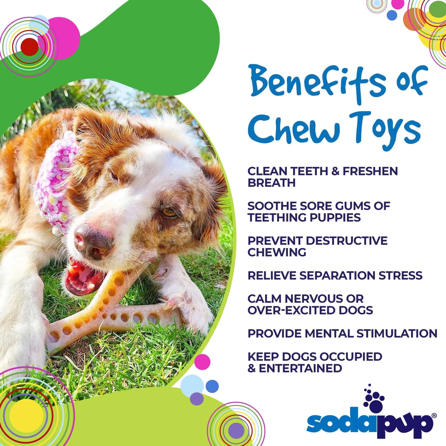 SP MOD Wishbone Ultra Durable Nylon Dog Chew Toy for Aggressive Chewers - Your Pet Connection