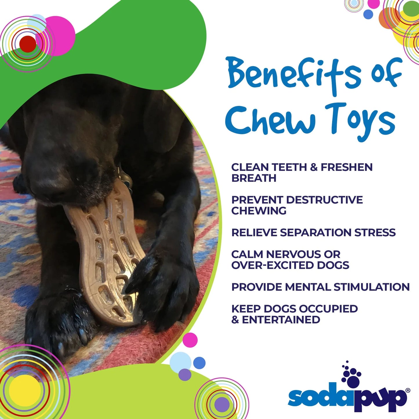 SP Peanut Ultra Durable Nylon Dog Chew Toy for Aggressive Chewers - Your Pet Connection