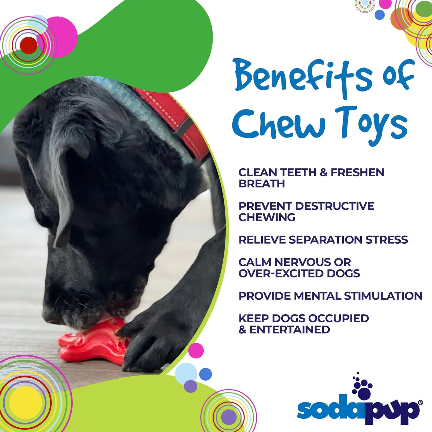 Starfish Ultra Durable Nylon Dog Chew Toy for Aggressive Chewers - Your Pet Connection