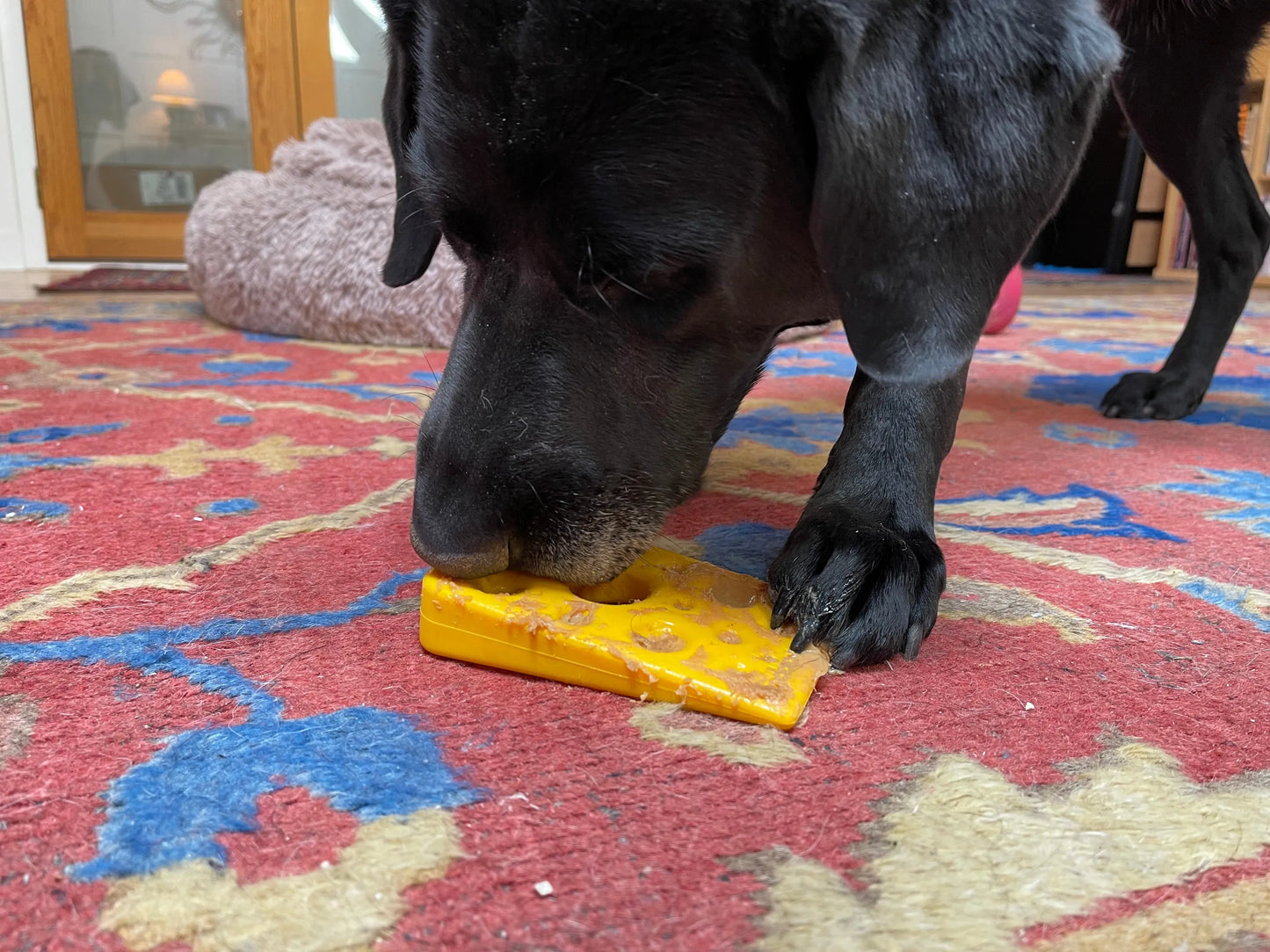 SP Swiss Cheese Wedge Durable Nylon Dog Chew Toy for Aggressive Chewers - Your Pet Connection