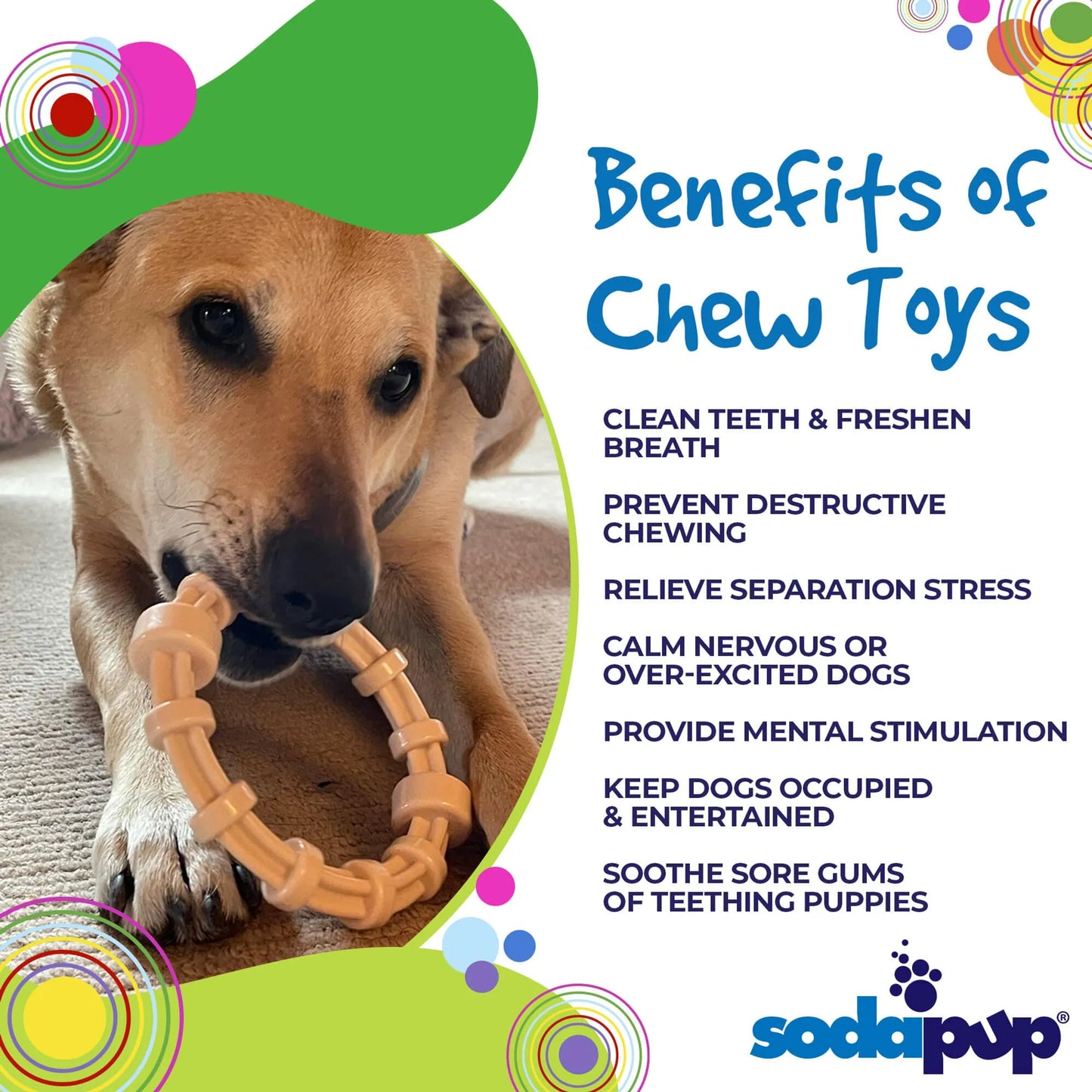 SP Honey Bone Chicken Flavored Teething Ring for Aggressive Chewers - Your Pet Connection
