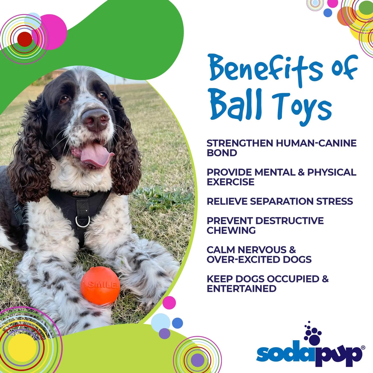 SP Smile Ball Ultra Durable Synthetic Rubber Chew Toy & Floating Retrieving Toy - Your Pet Connection
