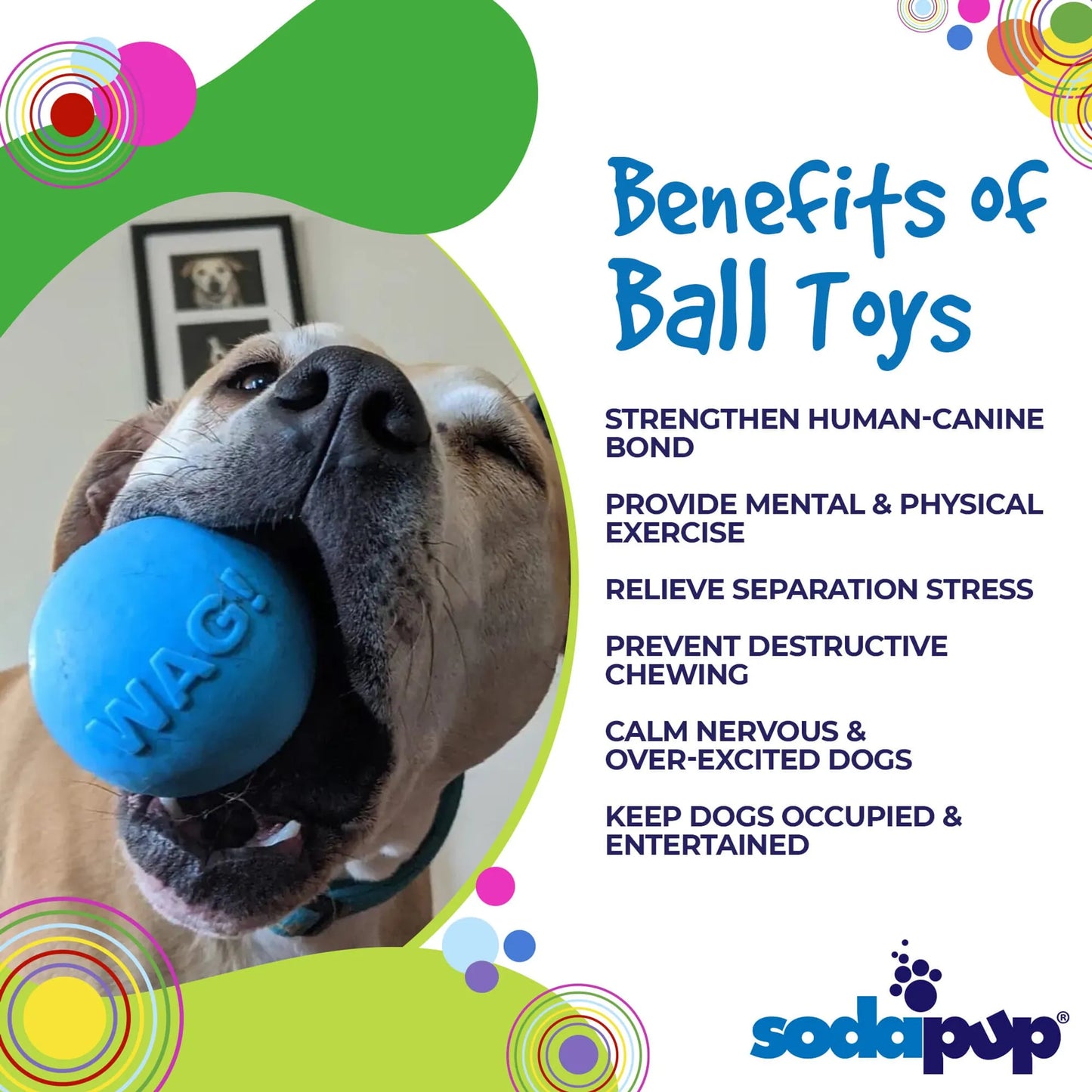 SP Wag Ball Ultra Durable Synthetic Rubber Chew Toy & Floating Retrieving Toy - Your Pet Connection