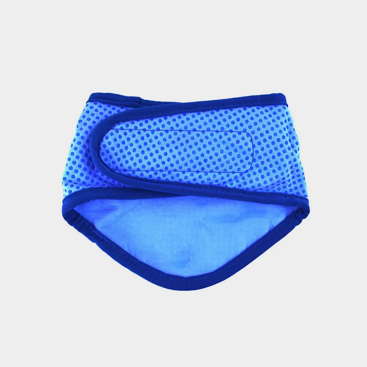 GF Pet Ice Band - Your Pet Connection