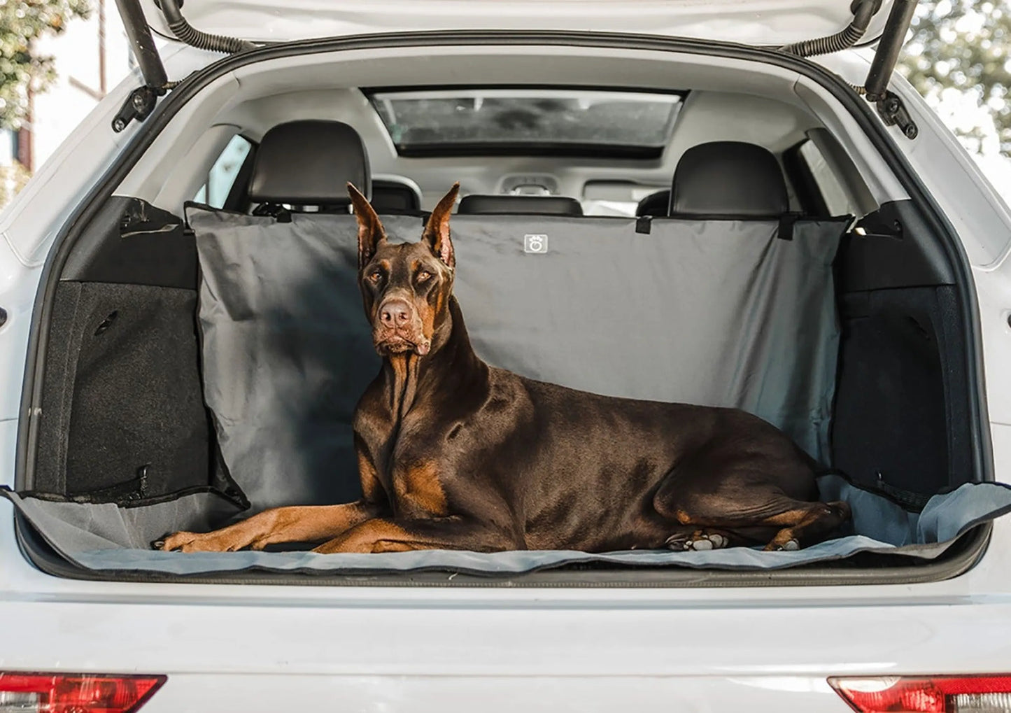 GF Pet Pet Cargo Cover - Your Pet Connection
