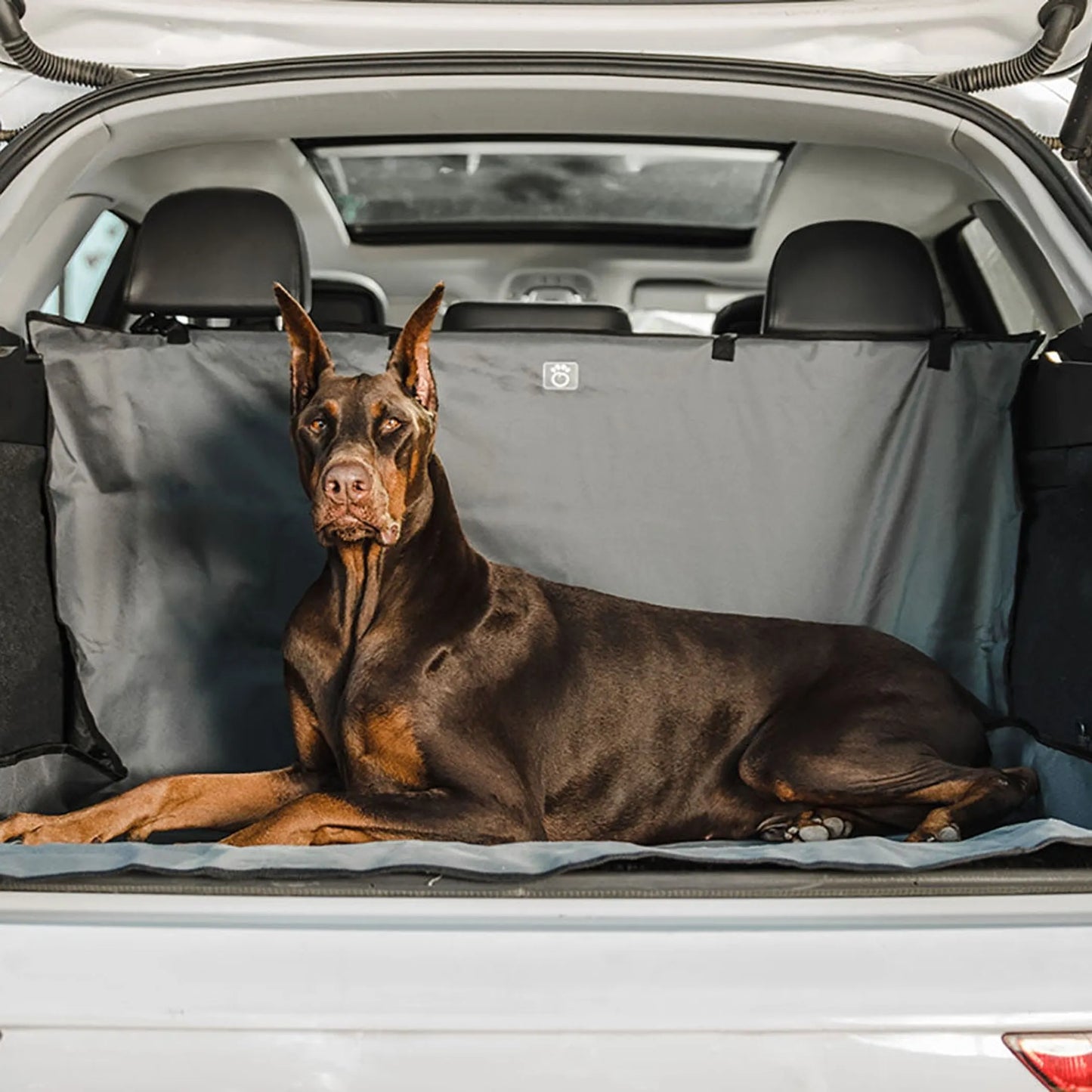 GF Pet Pet Cargo Cover - Your Pet Connection