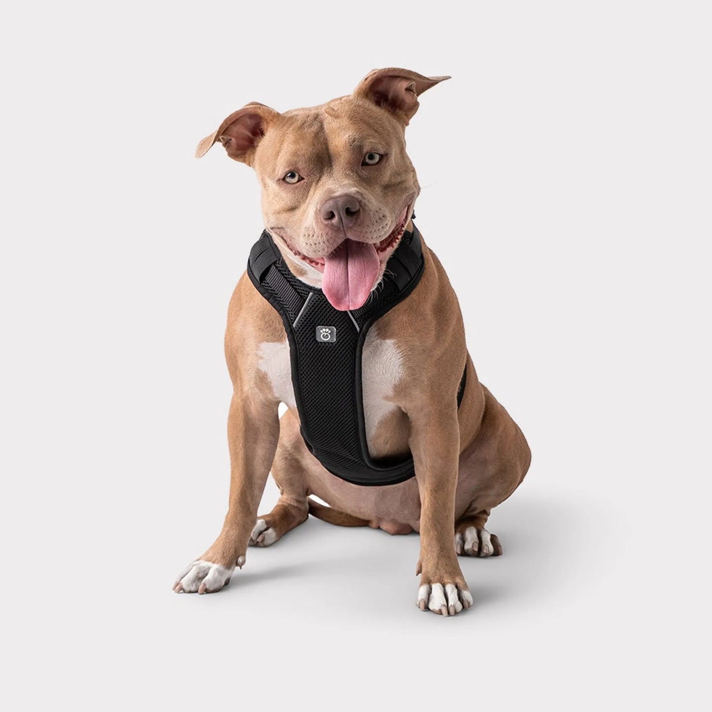 GF Pet Travel Harness - Your Pet Connection
