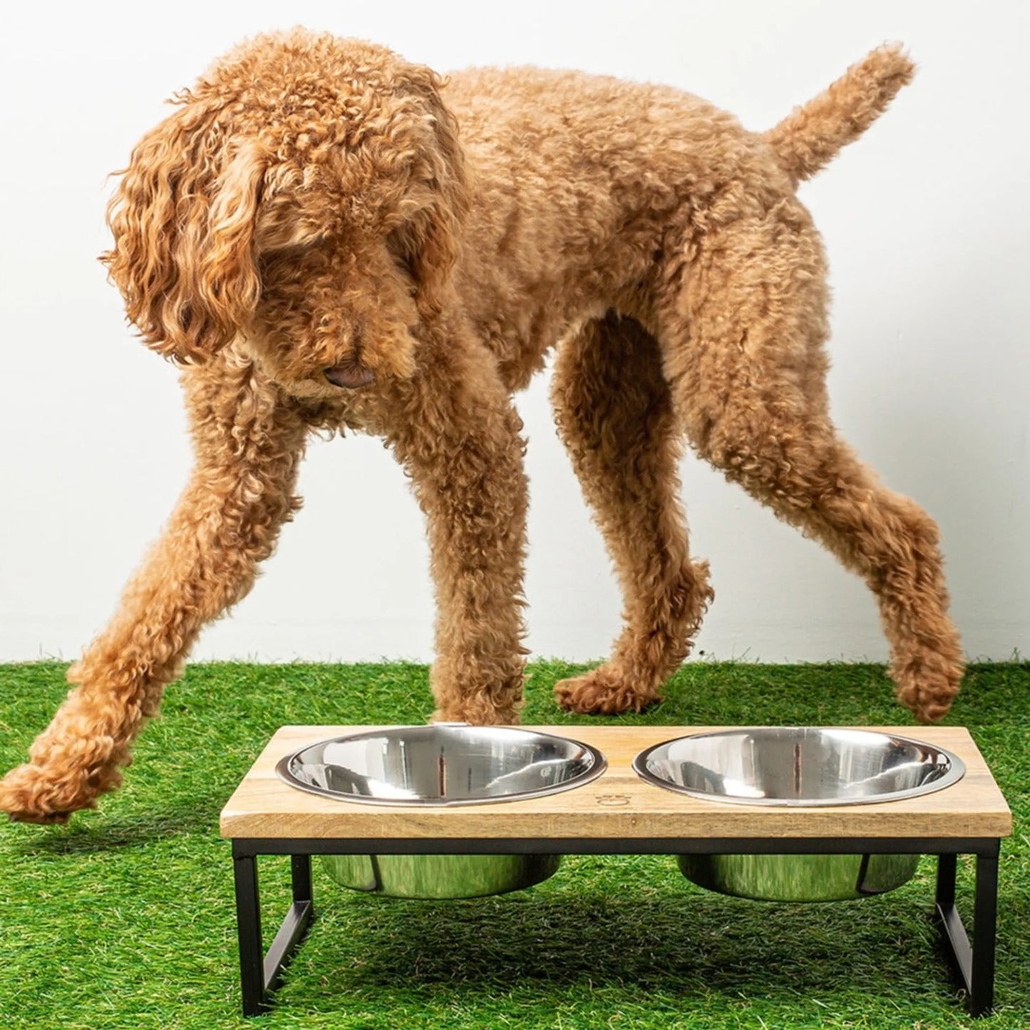 GF Pet Wood & Metal Elevated Feeder - Your Pet Connection