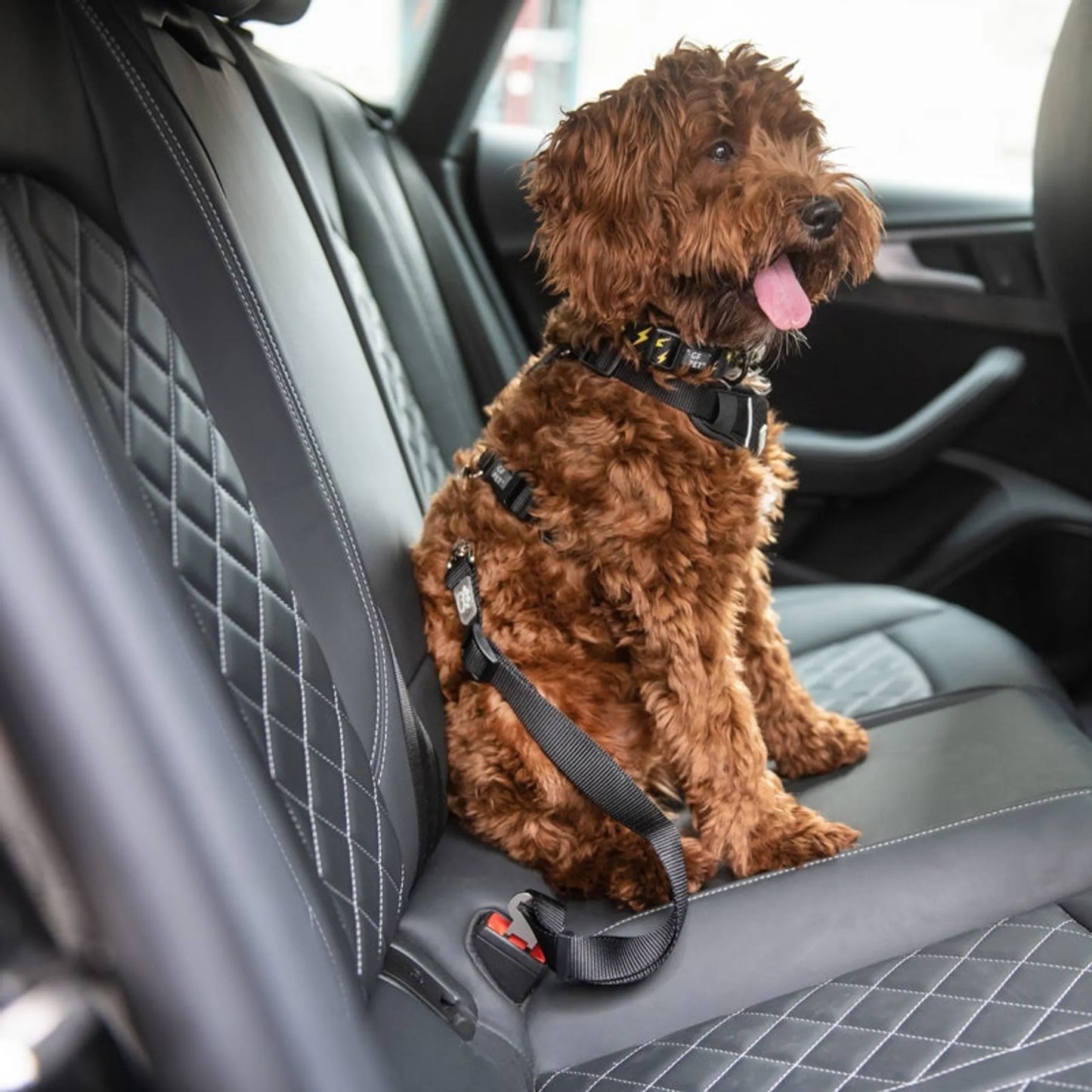 GF Pet Pet Seat Belt Tether Black - Your Pet Connection