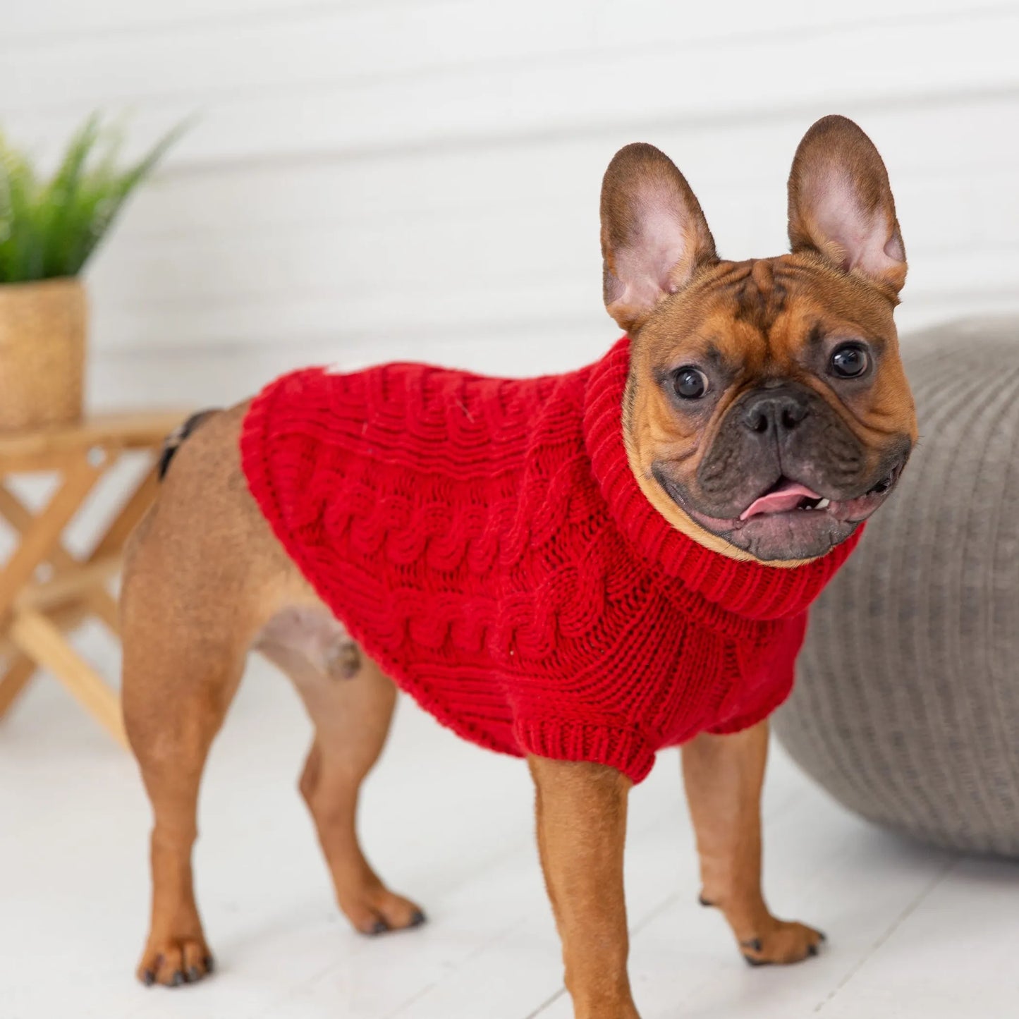 GF Pet Chalet Dog Sweater - Your Pet Connection