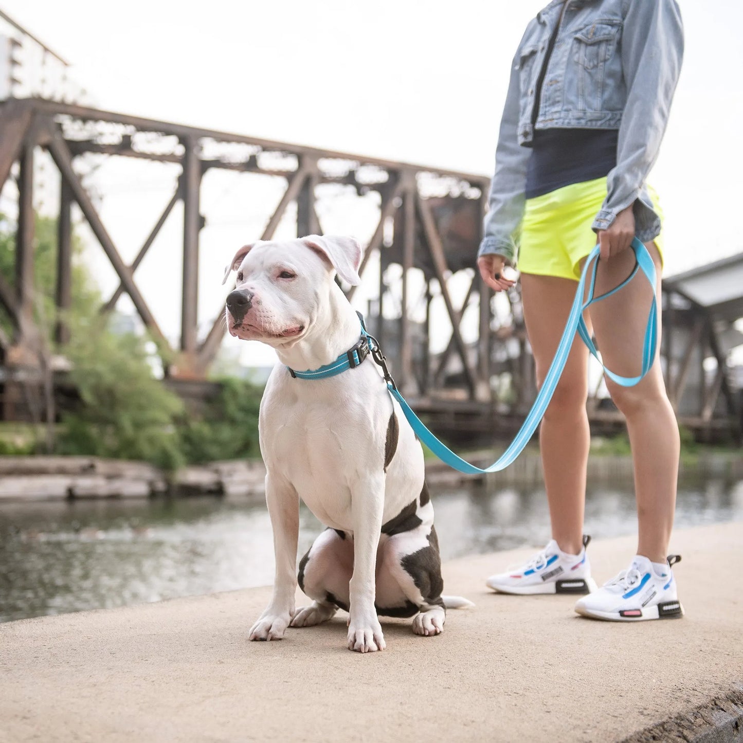GF Pet Reflective Leash - Your Pet Connection