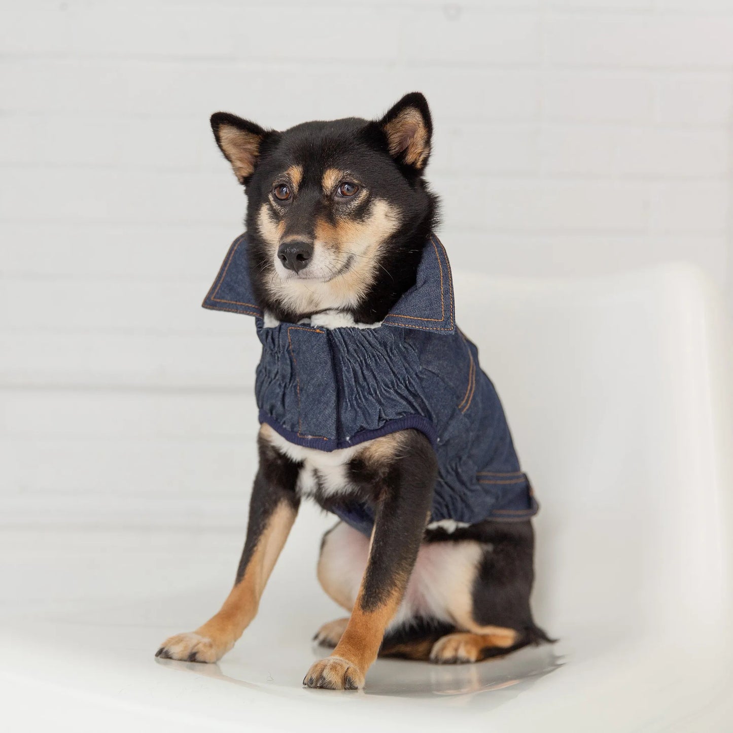 GF Pet Elasto-Fit Denim Dog Jacket - Your Pet Connection