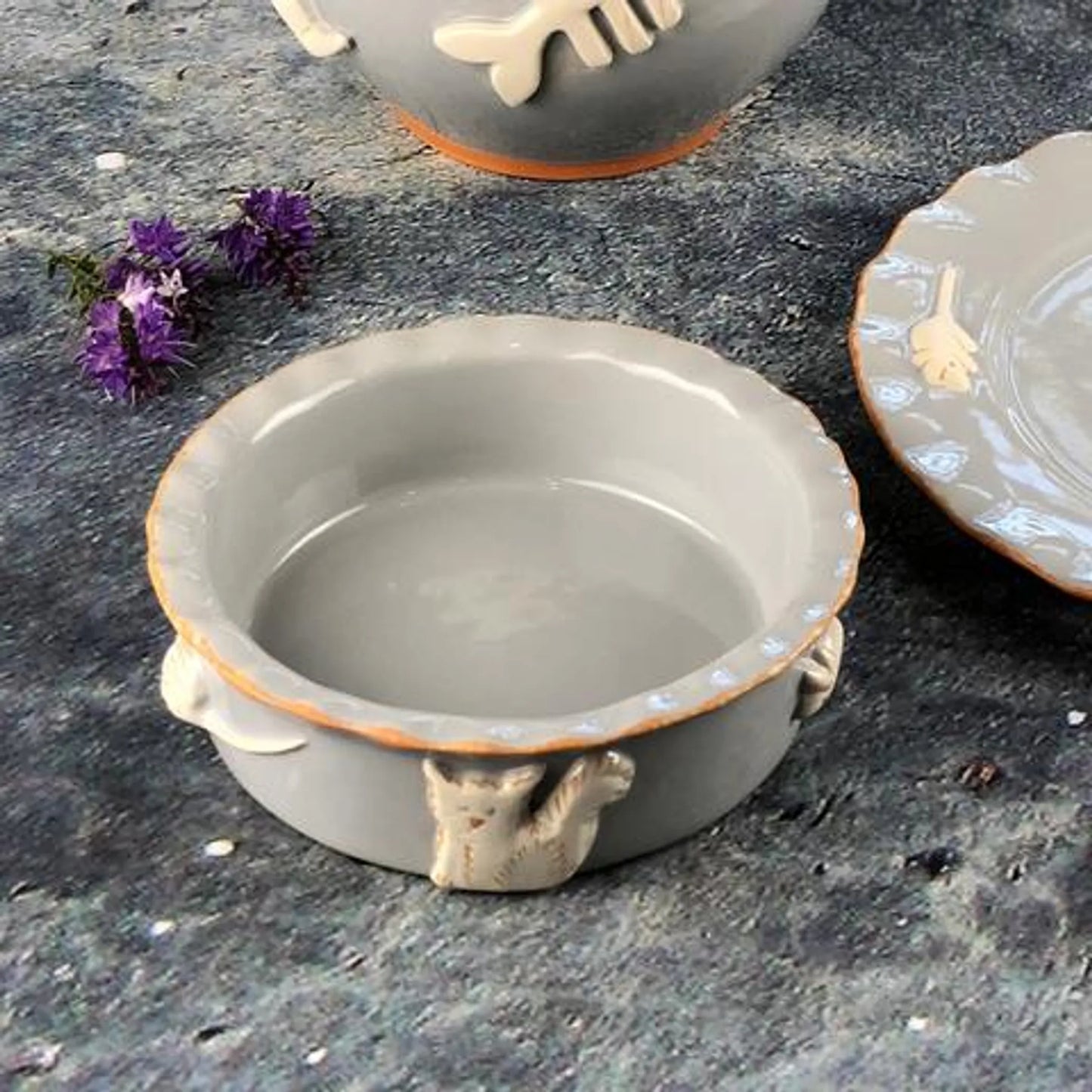 Cat Bowl - Your Pet Connection
